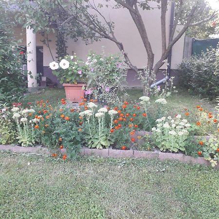 Kuca Za Odmor Bajtica Villa Jesenovec Екстериор снимка