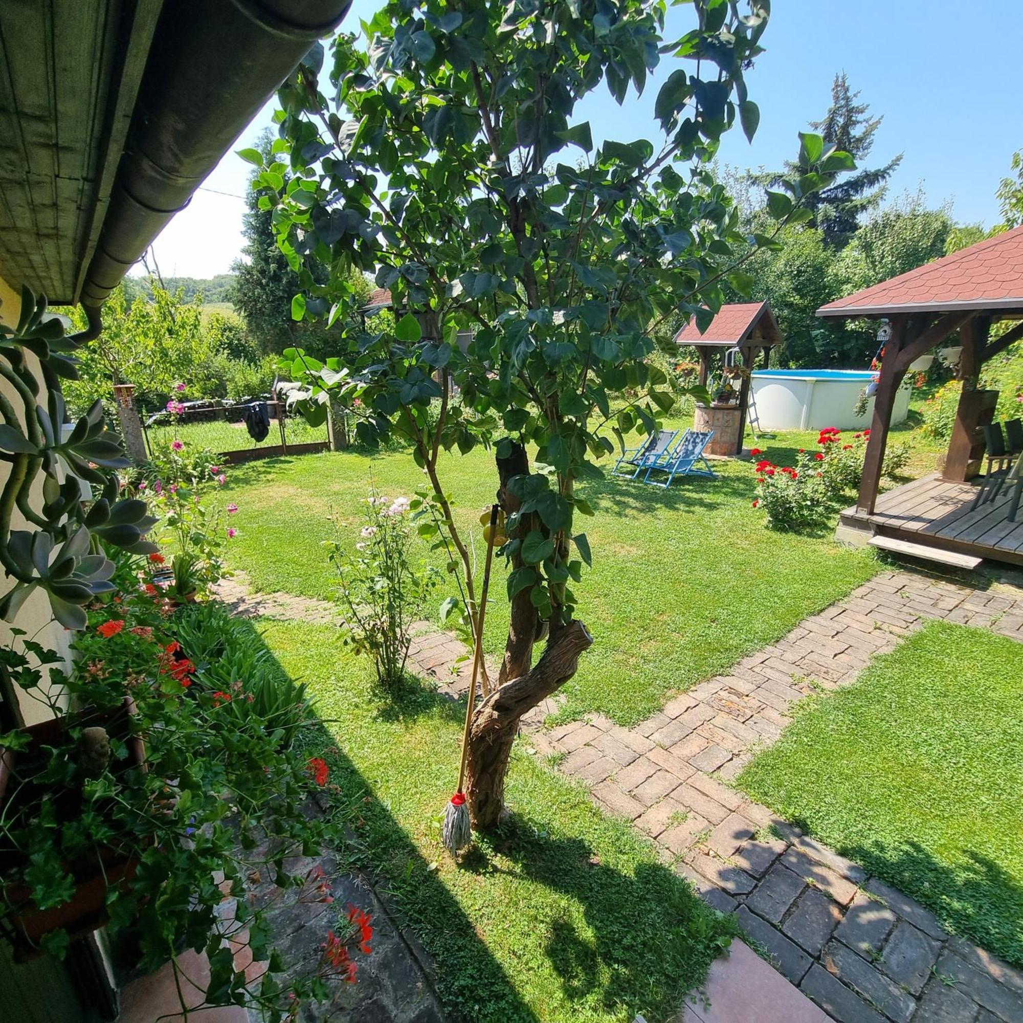 Kuca Za Odmor Bajtica Villa Jesenovec Екстериор снимка