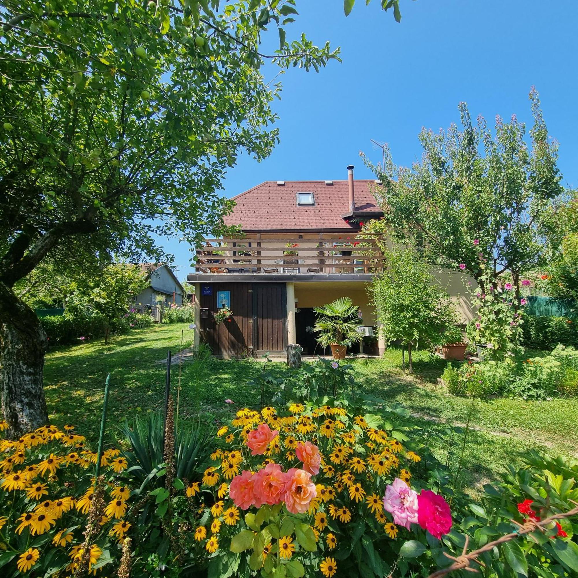Kuca Za Odmor Bajtica Villa Jesenovec Екстериор снимка