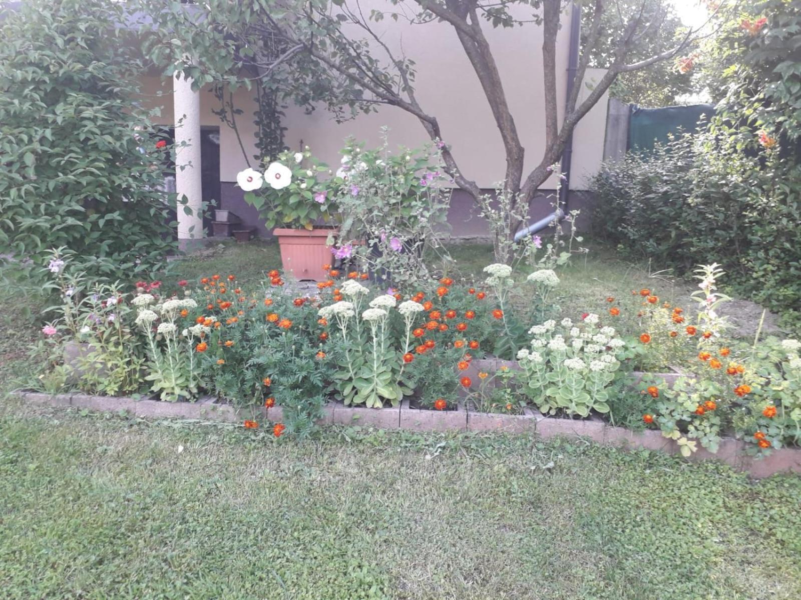 Kuca Za Odmor Bajtica Villa Jesenovec Екстериор снимка